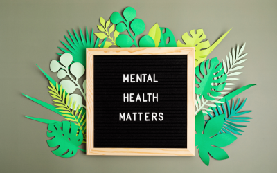 Things You Should Know About Mental Health Coverage Through Medigap Plans: Insights from a Medicare Supplement Agency in Northwest Indiana